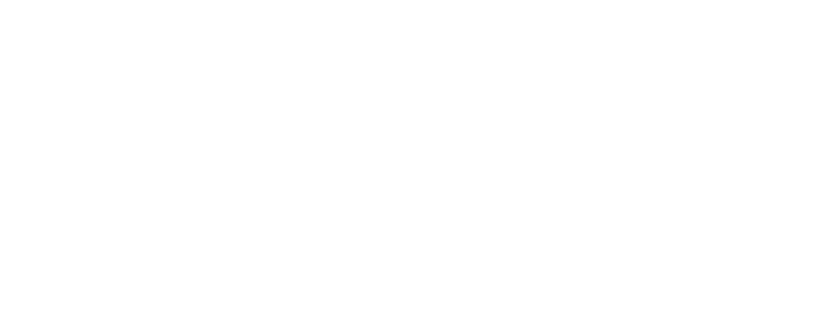 Antalya Network Logo